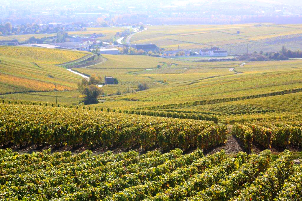 Commune de Champillon