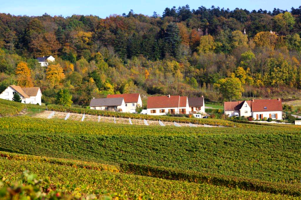 Commune de Champillon