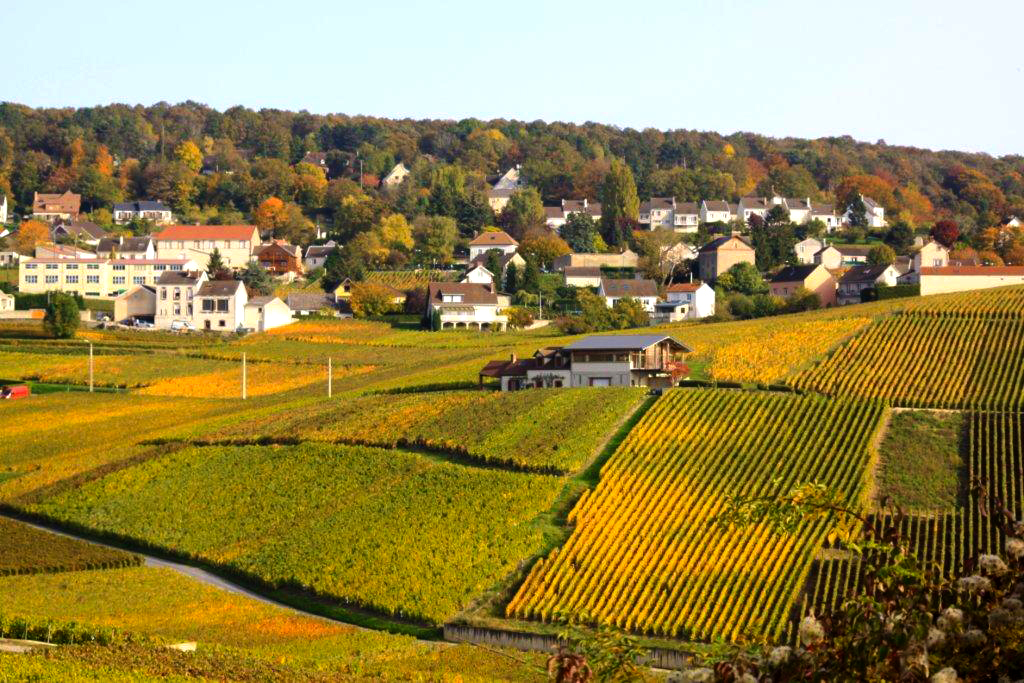 Commune de Champillon